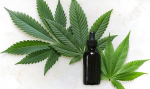 cannabis to improve scalp health
