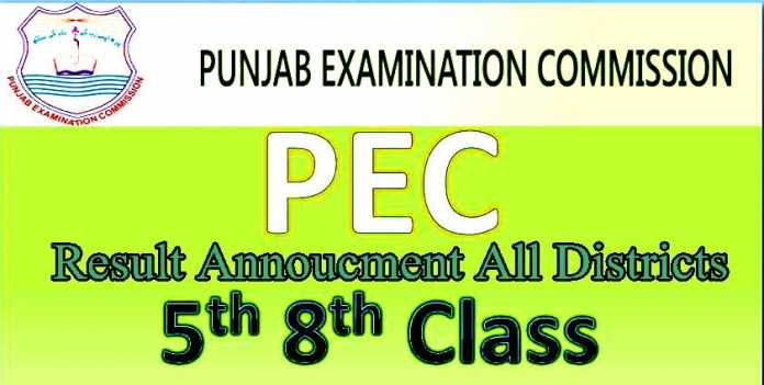 Punjab Examination Commission Grade 8 Easyworknet