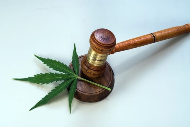 cannabis law